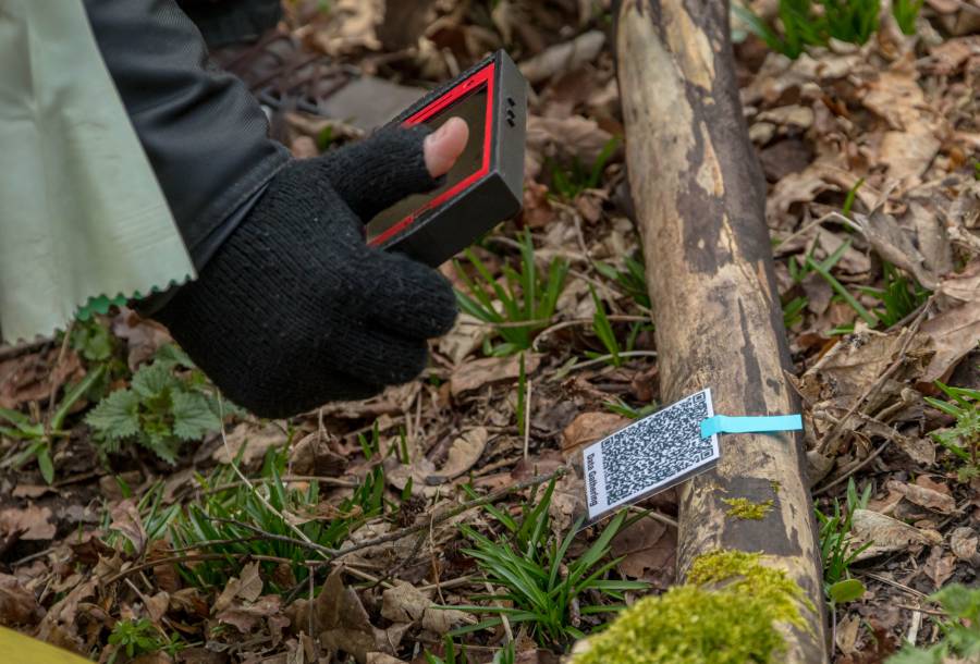 img_9158.jpg img_9158.jpg